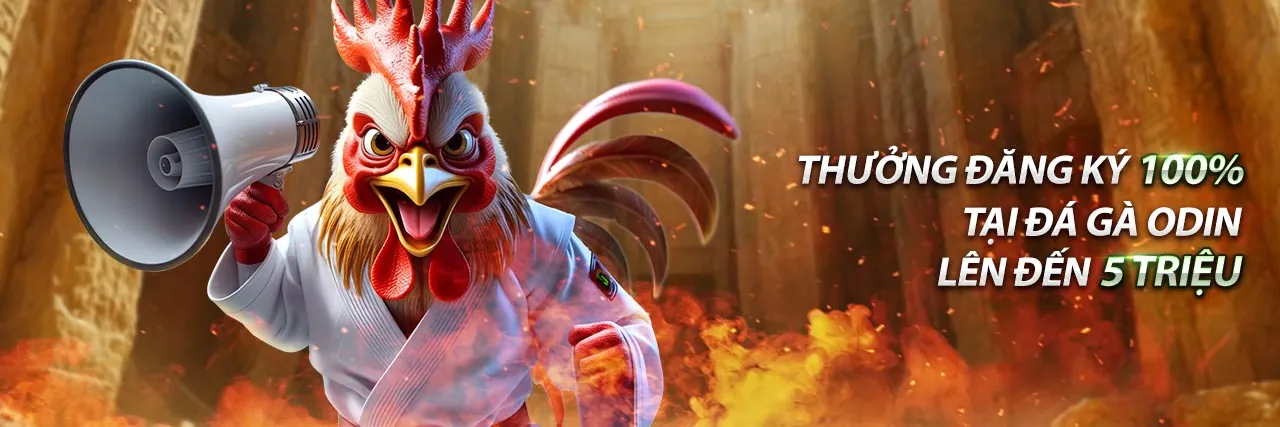 Hướng dẫn chơi Slot ball88 cho người mới bắt đầu